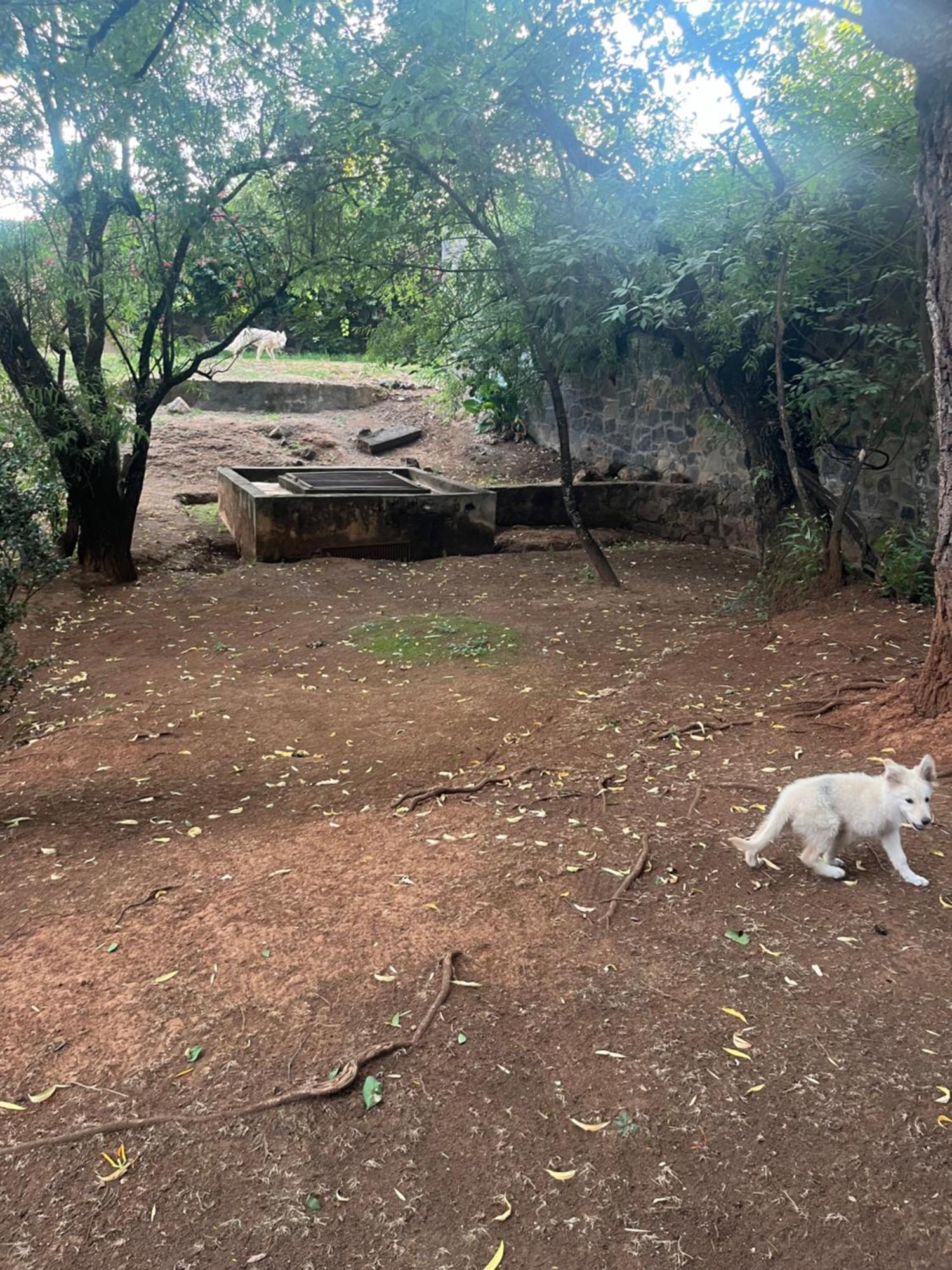 شقة Loft Artesanal En Granja Pátzcuaro المظهر الخارجي الصورة