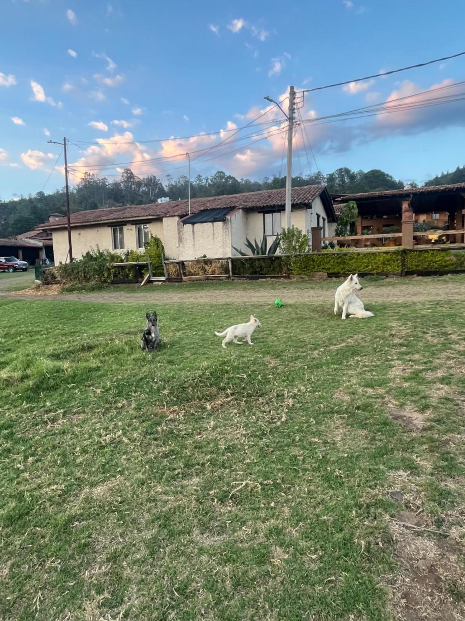 شقة Loft Artesanal En Granja Pátzcuaro المظهر الخارجي الصورة